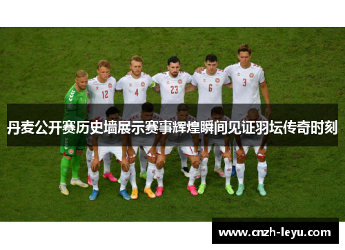 丹麦公开赛历史墙展示赛事辉煌瞬间见证羽坛传奇时刻