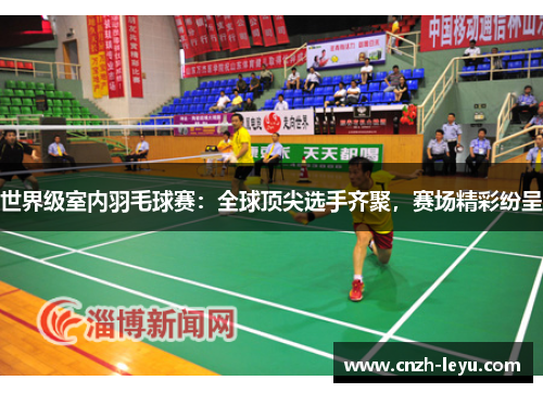 世界级室内羽毛球赛：全球顶尖选手齐聚，赛场精彩纷呈