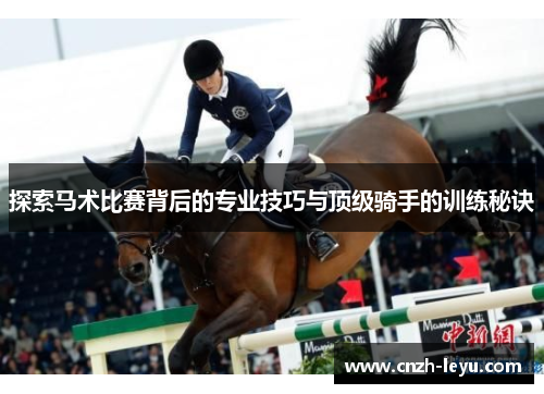 探索马术比赛背后的专业技巧与顶级骑手的训练秘诀