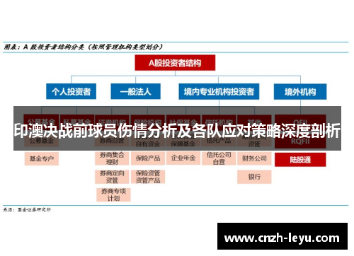 印澳决战前球员伤情分析及各队应对策略深度剖析