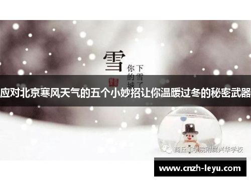应对北京寒风天气的五个小妙招让你温暖过冬的秘密武器