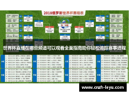 世界杯直播在哪些频道可以观看全面指南助你轻松追踪赛事进程