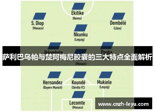 萨利巴乌帕与楚阿梅尼胶囊的三大特点全面解析