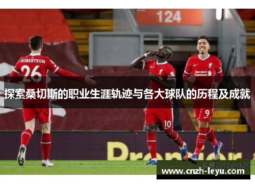 探索桑切斯的职业生涯轨迹与各大球队的历程及成就